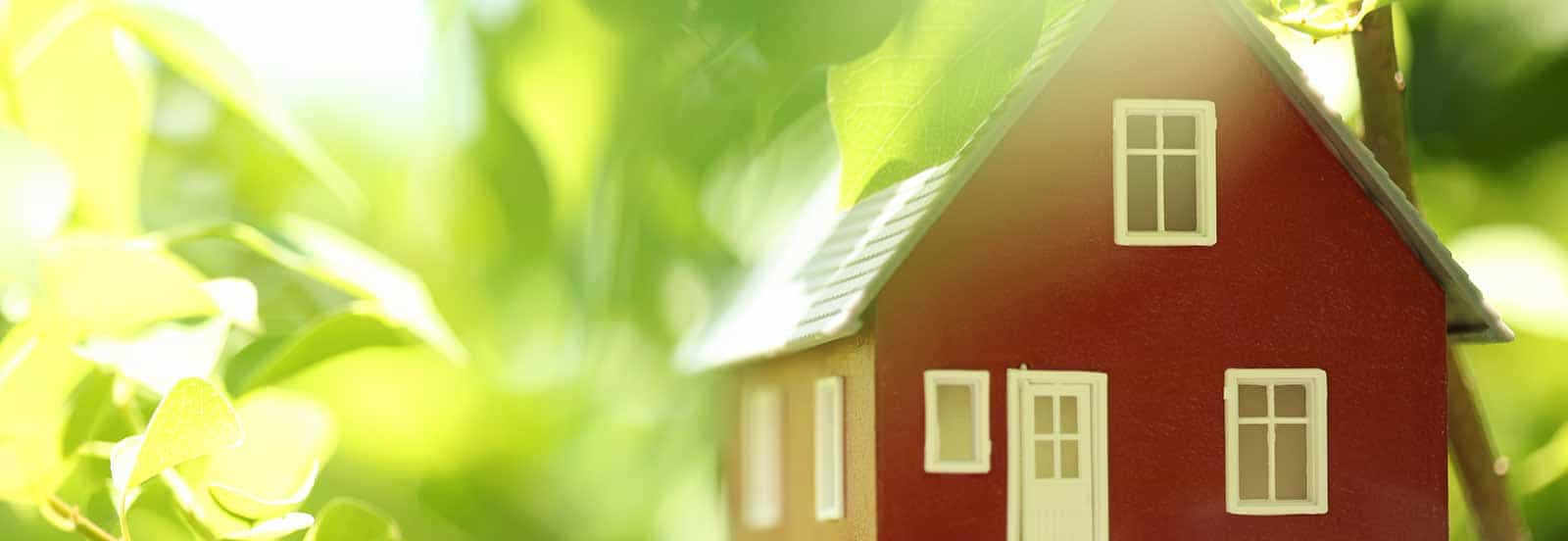 Smart and Green Homes