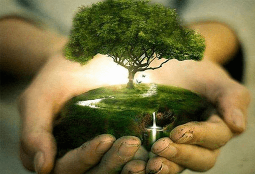 Plant a tree and make the environment green